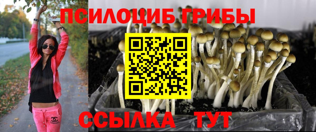 Озёры  купить наркотики сайты  Вход с VPN  Галлюциногенные грибы GOLDEN TEACHER 