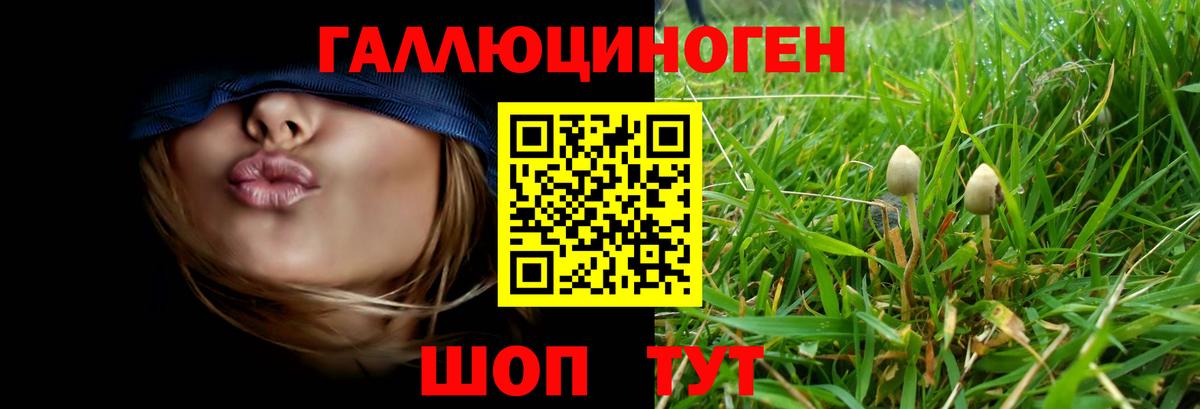Псилоцибиновые грибы ЛСД Озёры